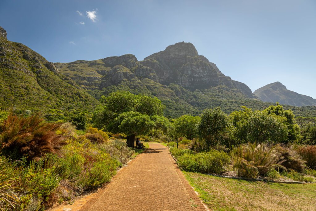 Kirstenbosch Botanical Garden Cape Town slow travel