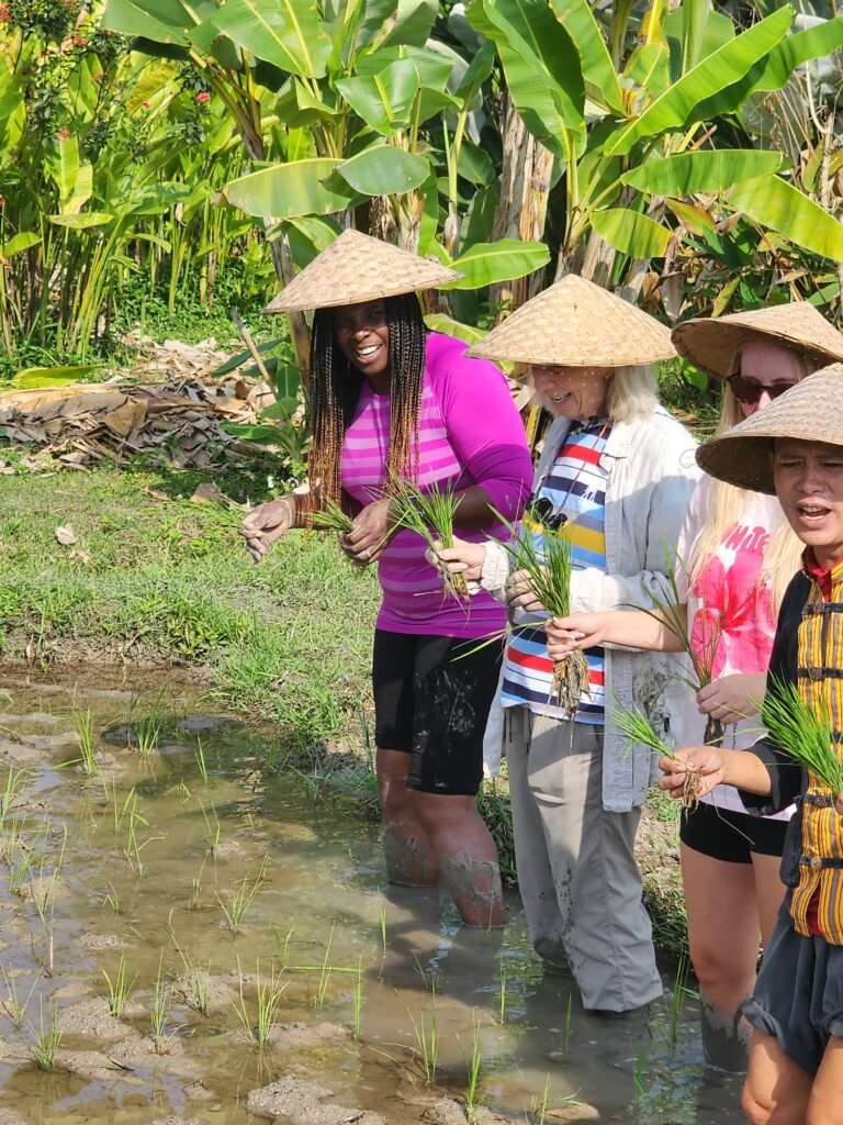 Marge planting rice at Living Land Farm, Luang Prabang slow travel Laos — knee-deep in the paddy wearing a traditional conical hat